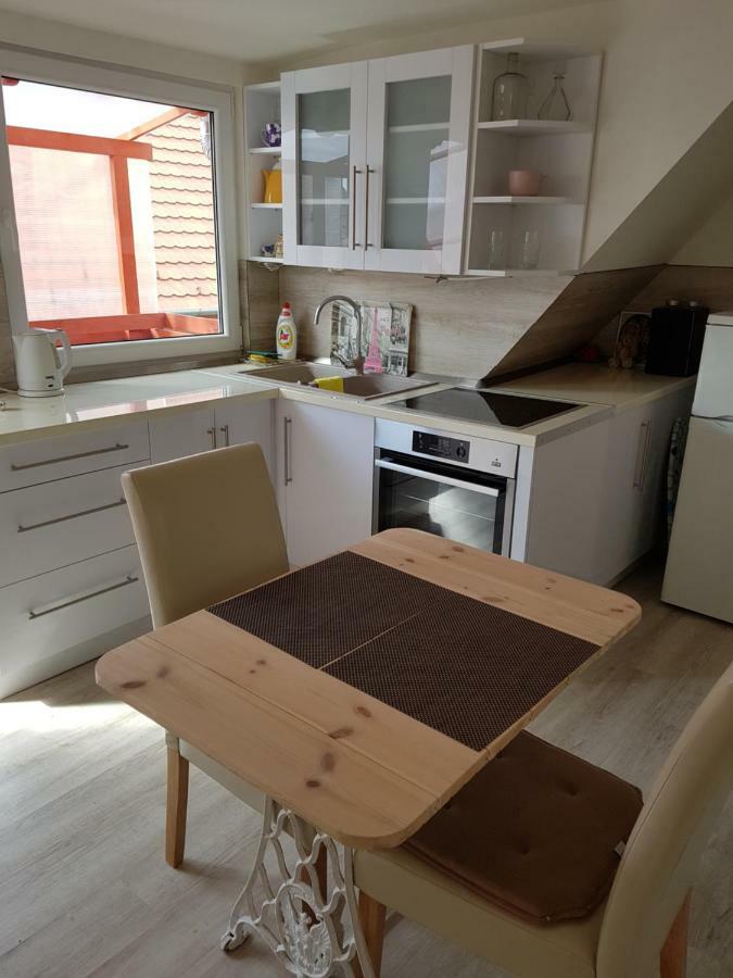 Csaladi Haz Apartment บูดาเปสต์ ภายนอก รูปภาพ